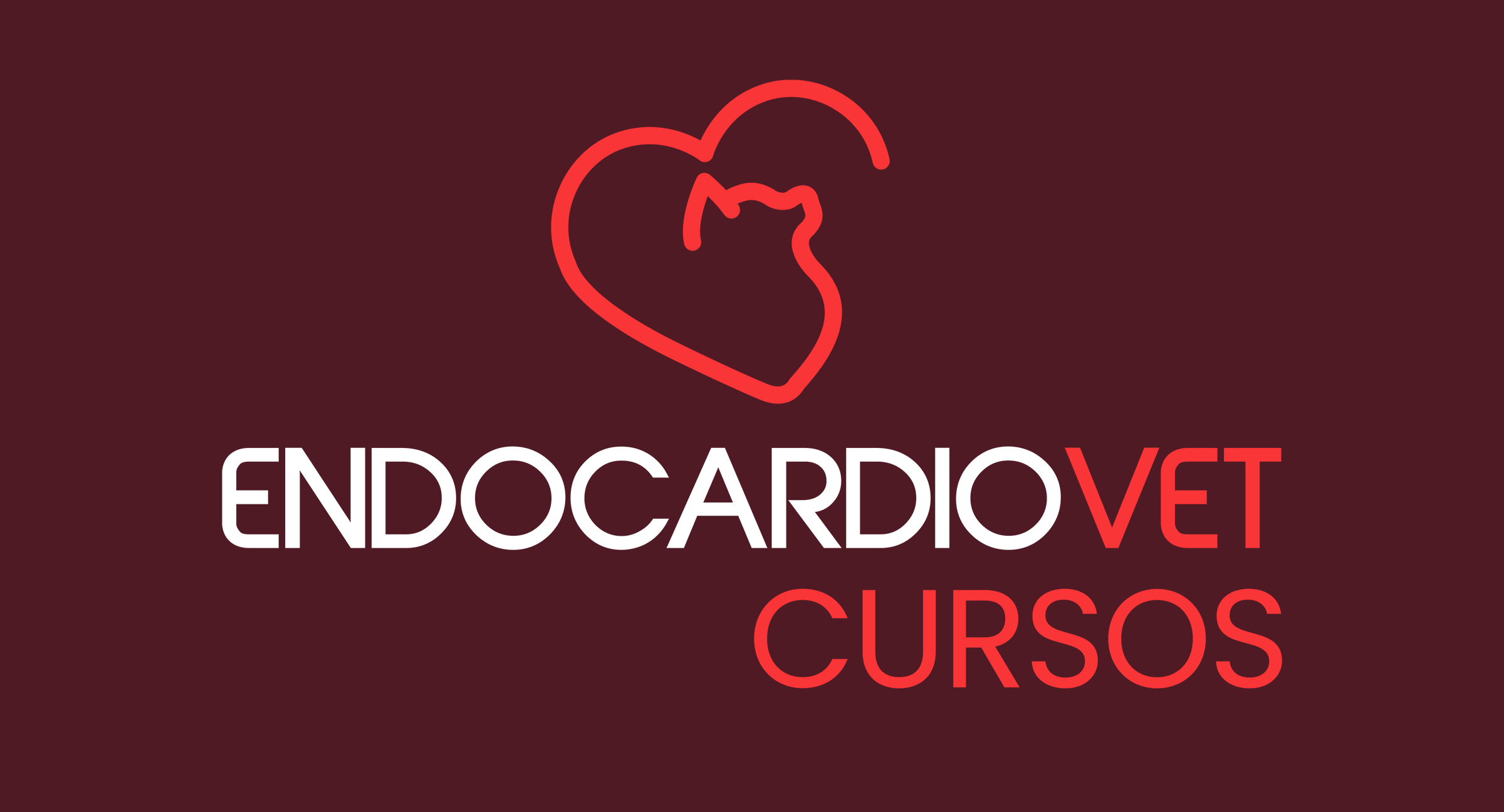 Endocardiovet Cursos Veterinários em Bauru