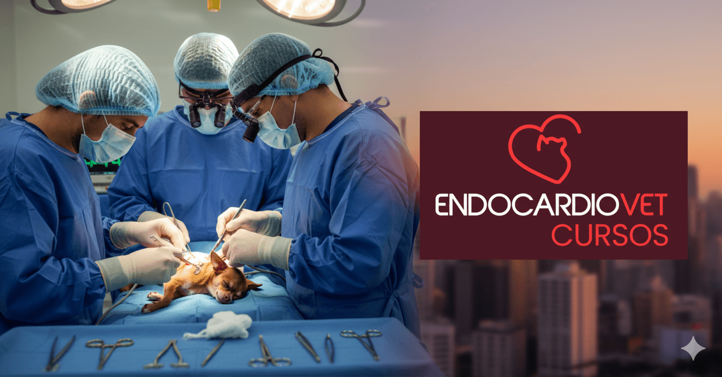 Pós-Graduação em Cirurgia Geral de Tecidos Moles em Cães e Gatos em Bauru