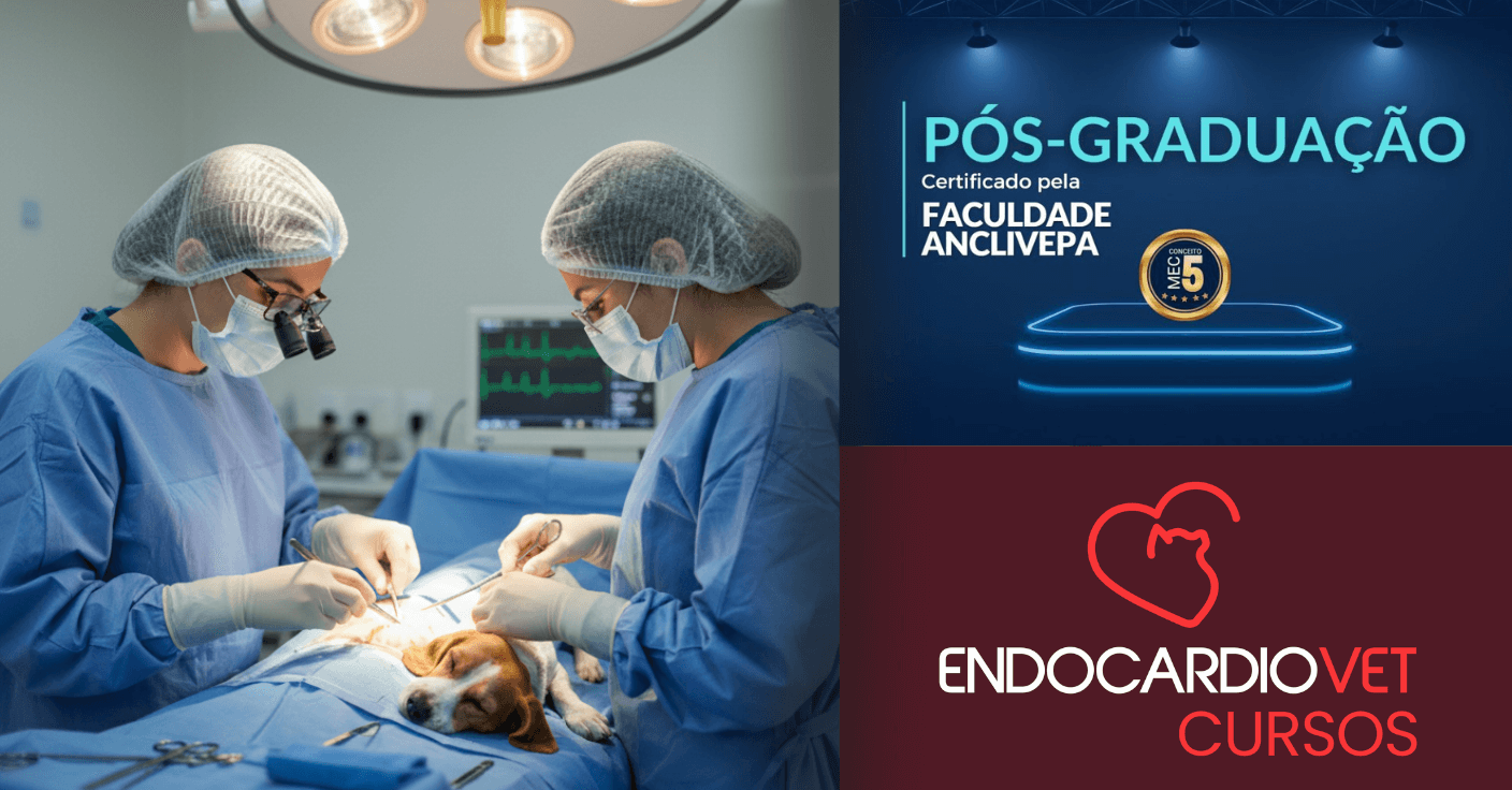 Pós-Graduação em Cirurgia Geral de Pequenos Animais em Bauru