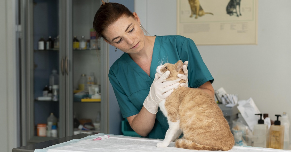 Pós-graduação em Cardiologia de Pequenos Animais em Bauru